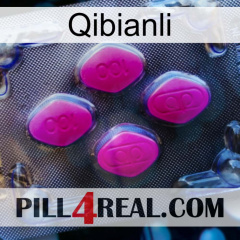 Qibianli 02